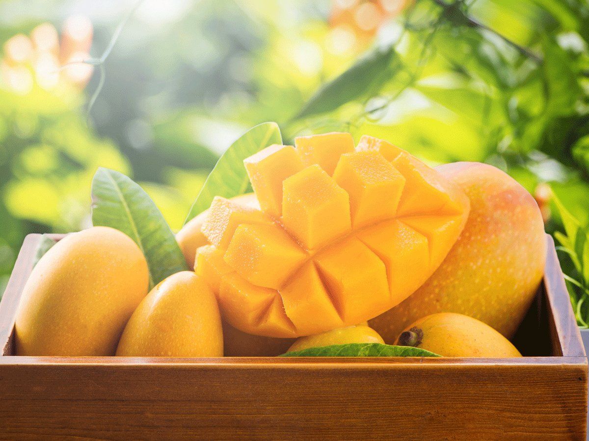 Mango season is in full bloom! #Kesarmango